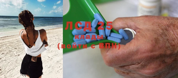 прущие грибы Бронницы
