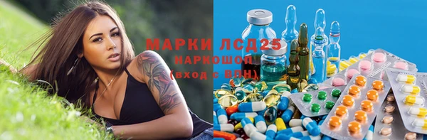 прущие грибы Бронницы