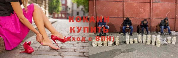 прущие грибы Бронницы