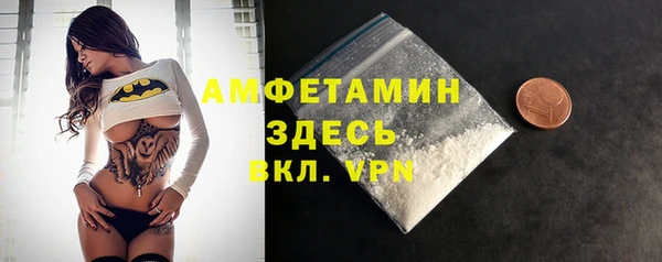 mdpv Бородино