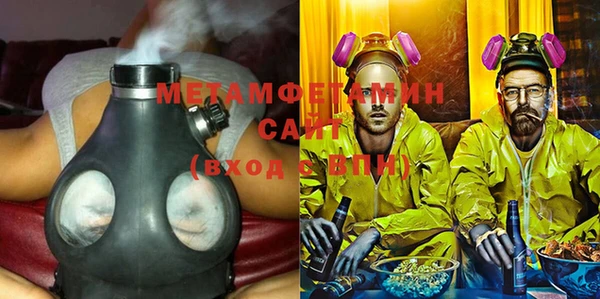 прущие грибы Бронницы