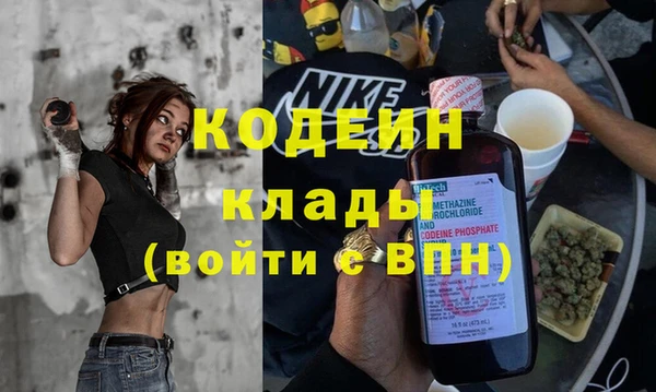 ПСИЛОЦИБИНОВЫЕ ГРИБЫ Богданович