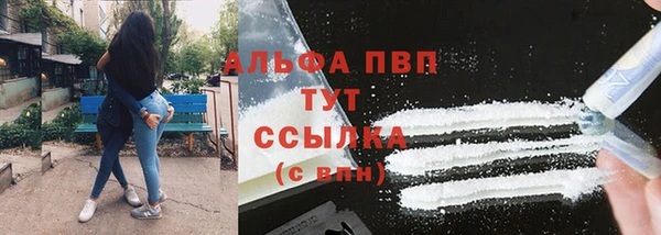 прущие грибы Бронницы