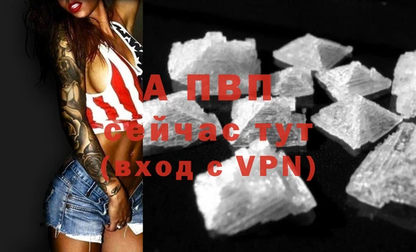mdpv Бородино