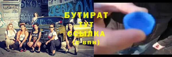прущие грибы Бронницы