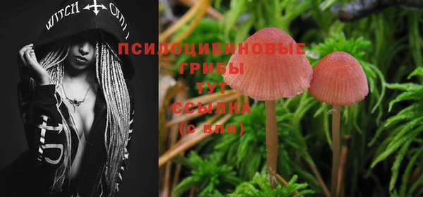 mdpv Бородино