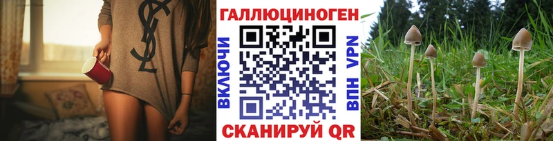 Псилоцибиновые грибы GOLDEN TEACHER  Купить закладки  Сычёвка 
